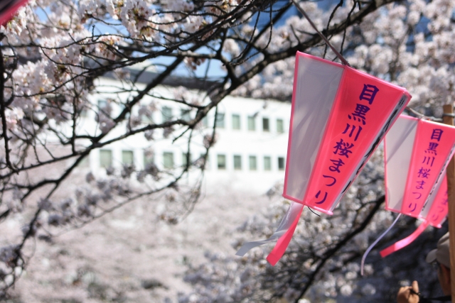 中目黒桜まつり